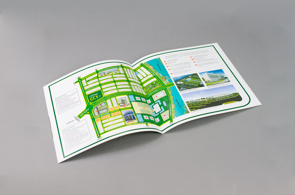 CATALOGUE 5