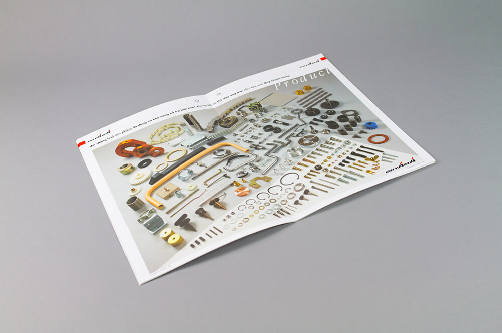 CATALOGUE 7